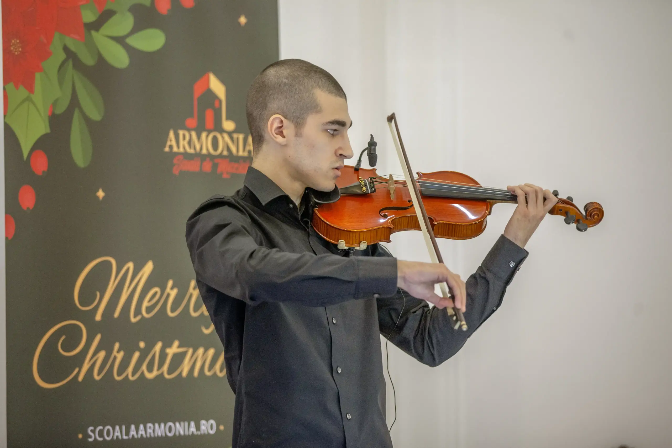 Descriere imagine 12