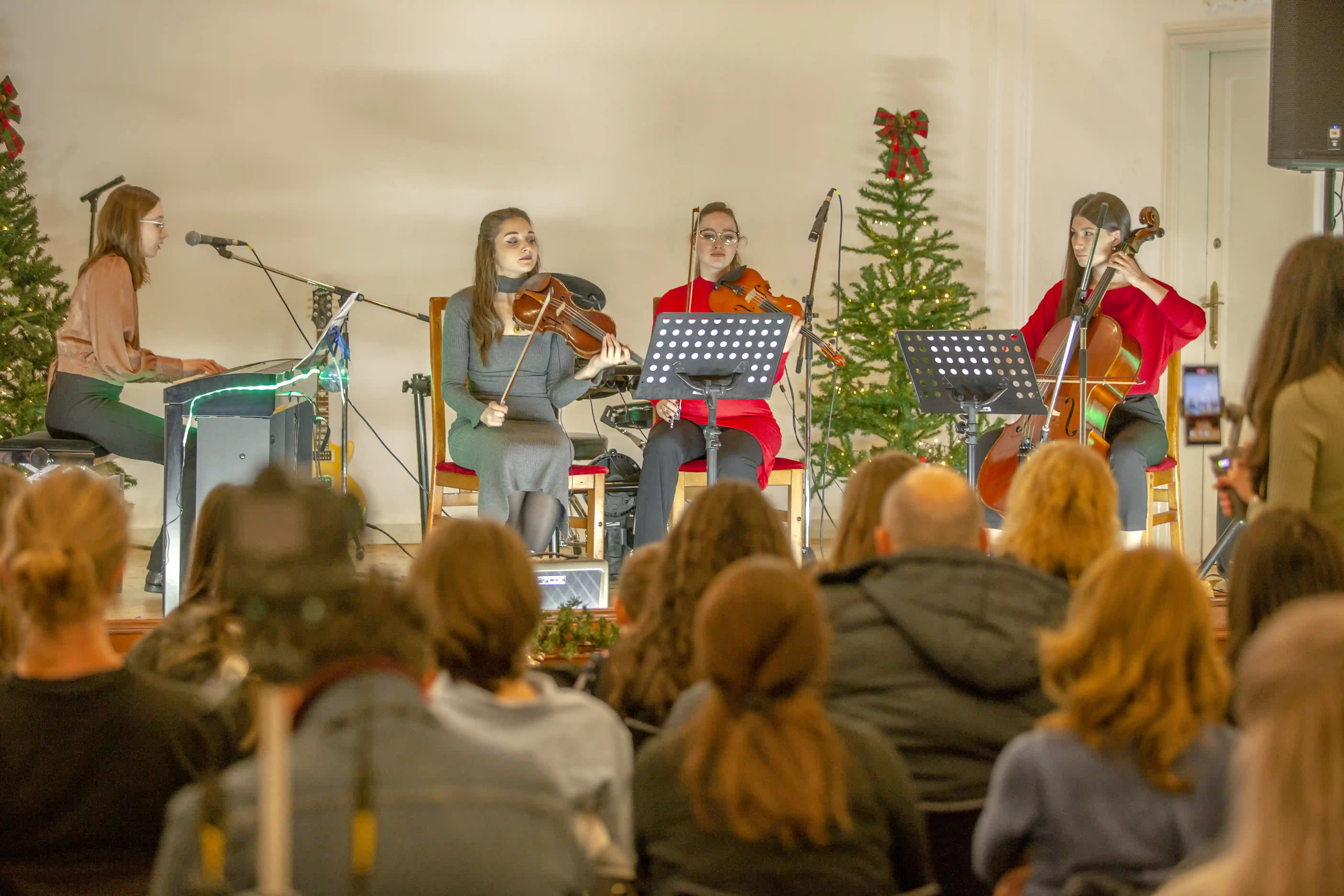 Descriere imagine 337